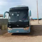باص للايجار الشهري والسنوي