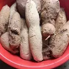 عسل بري حر لايتدخل جديد اليوم العدد 22