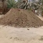 سماد بقر