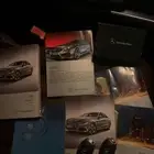 E300 AMG جفالي   فضي داخل بني