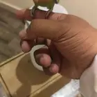 جوز روز الذكر أليف
