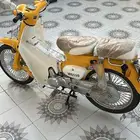 دباب