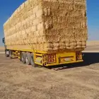 تبن قمح (بر) شد شركه كلاس