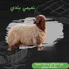 حرق أسعار   نعيمي بلدي