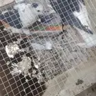 حمام للبيع تم بيع الكنق