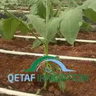 ليات زراعية