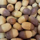 تمور فاخره من الزلفي