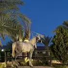 خيل