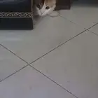 دروس خصوصية