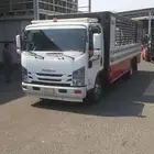 دينا 6 متر مشوار داخل مملكة