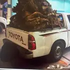 يابس شرط تواصل واتس اب