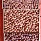 للبيع تمور نوايع بأسعار مخفضه للتصريف جمله