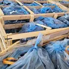 المحرك الذهبي لصيانة السيارات