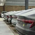 برديدة حي الجزيرة المعارض