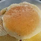 عسل وشمع سدر بلدي