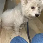 المدينه المنوره