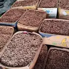 تمور مشكلة و نوى تمور للبيع