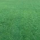 ثيل الخرج درجه اولى