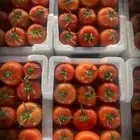 طماطم محمي نظيف  300 فلين 5 كيلو حمولة دينة