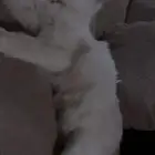 الخرج .شارع الملك عبد الله