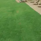 م ابو احمد تنسيق حدائق وتركيب جميع انواع الثيل