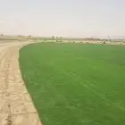 نجيلة ثيل درجة  ولى سي 2000