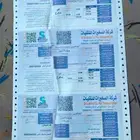 خيزران الباكستاني