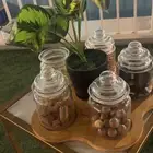 استراحة الواحة الخضراء