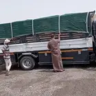 يوجد خشب نشاره