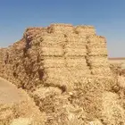 ذره حبشيه شد جندير تبوك