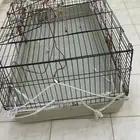 قفص للبيع استعمال بسيط الحجم كبير