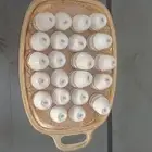 قهوجي صباب الرياض
