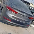 النتراء 2018