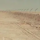 مقول شبوك