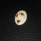 حب قرع مصور على شكل وجه أنسان و عين