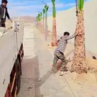 ابوعلي لزرعت انخيل الوشنطني ازينه