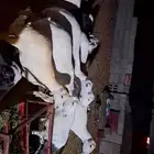 ضان للبيع العداد 50مولدات 10حبات وا 40دفيع سلامه من اي مرض