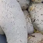 عسل حر جبلي ممتاز درجة أولى