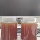 عسل سدر رقم واحد