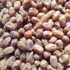 متوفر اخلاص الكميه 5400كرتون موز اسعر 3ريال