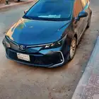 كوريلا Corolla 2023