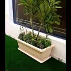 مشتل بيع الزهور والشتلات الزراعيه بجميع انواعها مع الصيانه ا