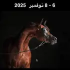 مطلوب مطلوب مطلوب حصان واهو جبر سليم اوشعبي طيب