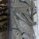 عود مروكي رقم واحد ريحه وجوده وثبات وجوده وضمانه ذهبيه