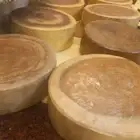 مقاطع خشب