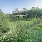 شقق للآجار السنوي وسط بلجرشي