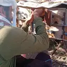 اجود انواع العسل. سدر يمني طازج من قلب الطبيعه