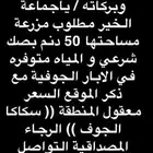 ( ادورعلى مزرعة في سكاكا الجوف )
