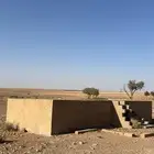 شراكه في خضار مكشوفه