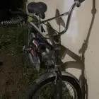 سايكل رامبو اخو الجديد يبغلو بس طاره اندانسي الاصلي